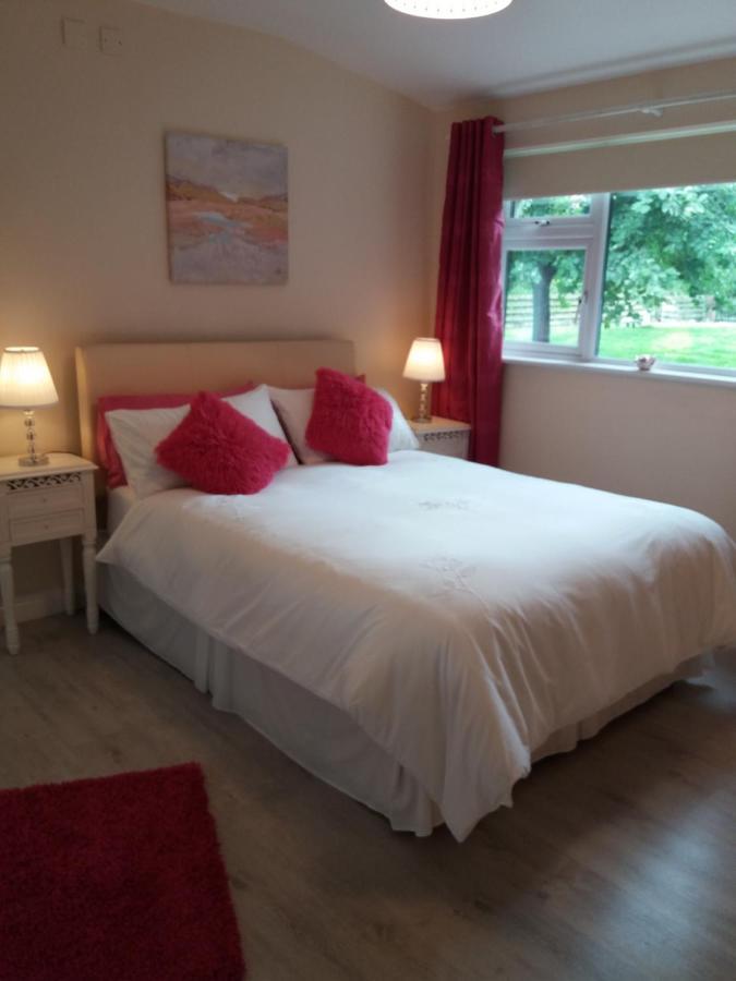 Lettermore 1 Apartment Rathdrum Bagian luar foto